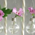 Reciclar bombilla recycle light bulb